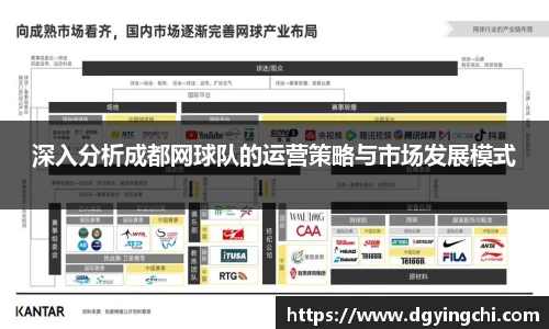 深入分析成都网球队的运营策略与市场发展模式